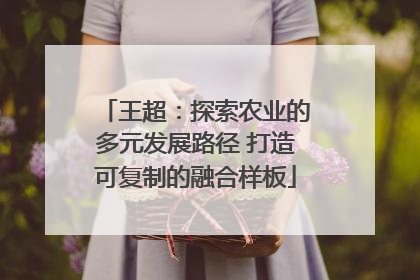 王超：探索农业的多元发展路径 打造可复制的融合样板