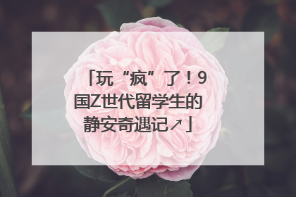 玩“疯”了！9国Z世代留学生的静安奇遇记↗