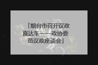 烟台市召开议政直达车——政协委员议政座谈会