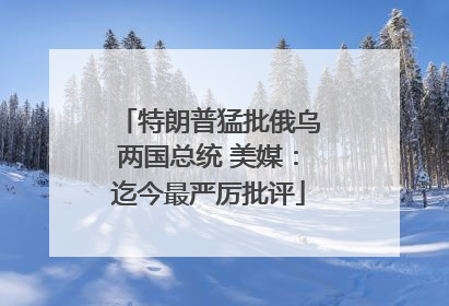 特朗普猛批俄乌两国总统 美媒：迄今最严厉批评
