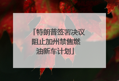 特朗普签署决议 阻止加州禁售燃油新车计划