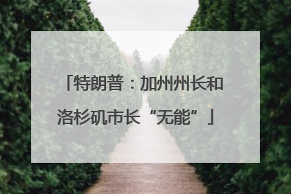 特朗普：加州州长和洛杉矶市长“无能”