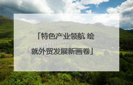 特色产业领航 绘就外贸发展新画卷