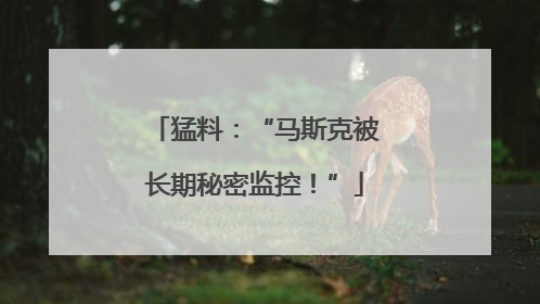 猛料：“马斯克被长期秘密监控！”