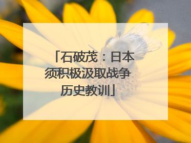 石破茂：日本须积极汲取战争历史教训