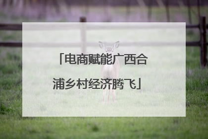 电商赋能广西合浦乡村经济腾飞