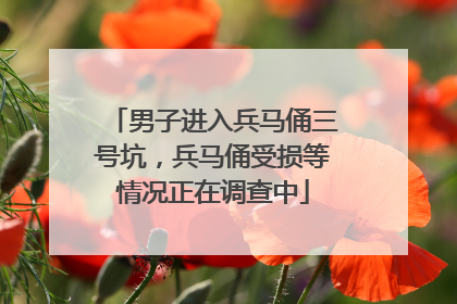 男子进入兵马俑三号坑，兵马俑受损等情况正在调查中