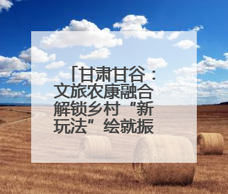 甘肃甘谷：文旅农康融合解锁乡村“新玩法”绘就振兴新图景