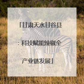 甘肃天水甘谷县：科技赋能辣椒全产业链发展