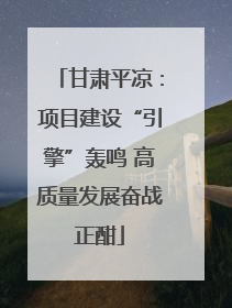 甘肃平凉：项目建设“引擎”轰鸣 高质量发展奋战正酣