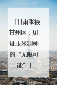 甘肃张掖甘州区：见证玉米制种的“无限可能”