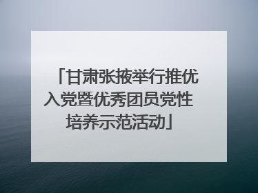 甘肃张掖举行推优入党暨优秀团员党性培养示范活动