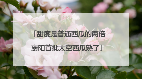 甜度是普通西瓜的两倍 襄阳首批太空西瓜熟了