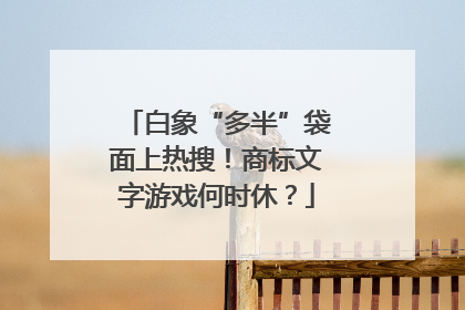白象“多半”袋面上热搜！商标文字游戏何时休？
