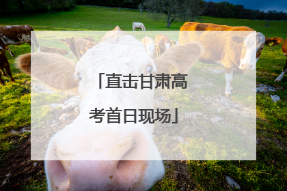 直击甘肃高考首日现场