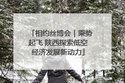 相约丝博会｜乘势起飞 陕西探索低空经济发展新动力