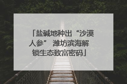 盐碱地种出“沙漠人参” 潍坊滨海解锁生态致富密码