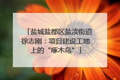 盐城盐都区盐渎街道徐志刚：项目建设工地上的“啄木鸟”