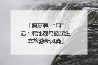 盛夏寻 “羽” 记：滇池观鸟掀起生态旅游新风尚