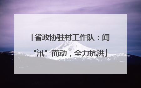 省政协驻村工作队：闻“汛”而动，全力抗洪