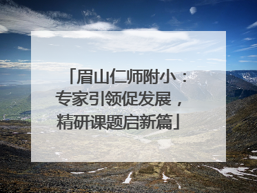 眉山仁师附小：专家引领促发展，精研课题启新篇
