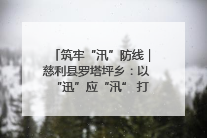 筑牢“汛”防线｜慈利县罗塔坪乡：以“迅”应“汛” 打赢暴雨防御战
