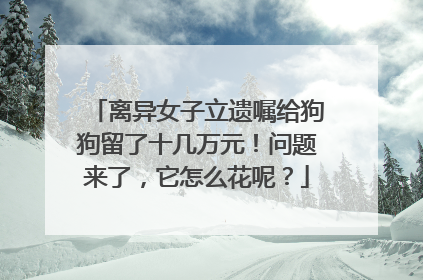 离异女子立遗嘱给狗狗留了十几万元！问题来了，它怎么花呢？