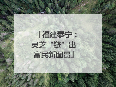 福建泰宁：灵芝“链”出富民新图景