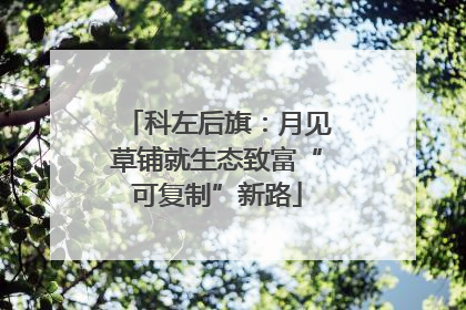 科左后旗：月见草铺就生态致富“可复制”新路