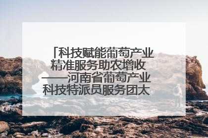 科技赋能葡萄产业 精准服务助农增收——河南省葡萄产业科技特派员服务团太康县科技服务纪实