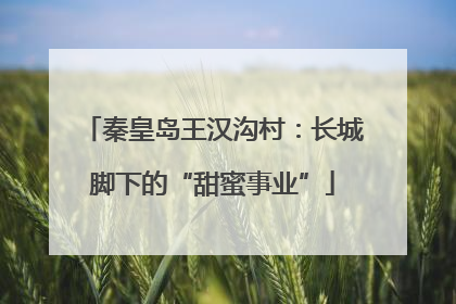 秦皇岛王汉沟村：长城脚下的“甜蜜事业”