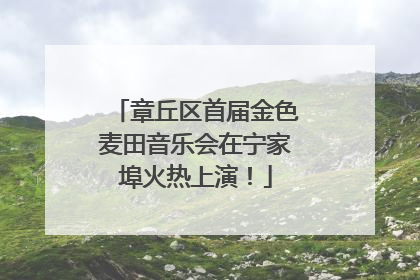 章丘区首届金色麦田音乐会在宁家埠火热上演！