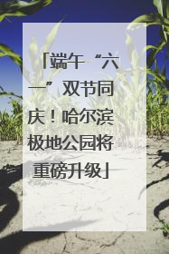 端午“六一”双节同庆！哈尔滨极地公园将重磅升级
