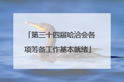 第三十四届哈洽会各项筹备工作基本就绪