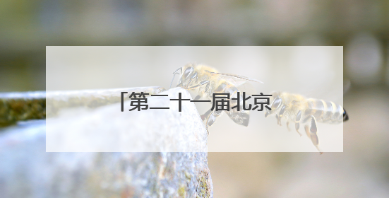 第二十一届北京3VS3街头篮球挑战赛圆满落幕