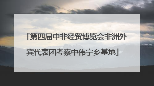 第四届中非经贸博览会非洲外宾代表团考察中伟宁乡基地