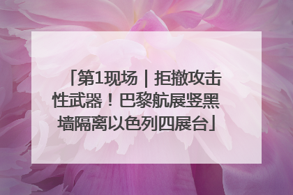 第1现场｜拒撤攻击性武器！巴黎航展竖黑墙隔离以色列四展台