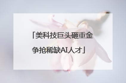 美科技巨头砸重金争抢稀缺AI人才