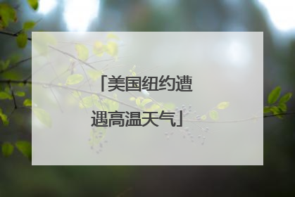 美国纽约遭遇高温天气