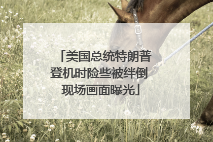 美国总统特朗普登机时险些被绊倒 现场画面曝光