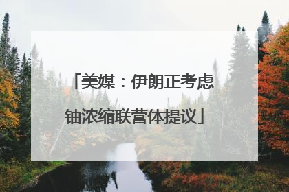 美媒：伊朗正考虑铀浓缩联营体提议