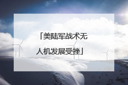 美陆军战术无人机发展受挫
