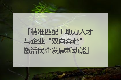 精准匹配！助力人才与企业“双向奔赴” 激活民企发展新动能