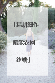 精耕细作 赋能农网终端