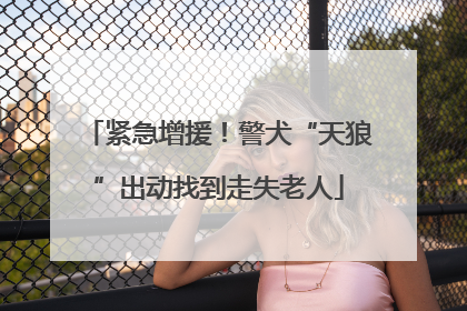 紧急增援！警犬“天狼”出动找到走失老人