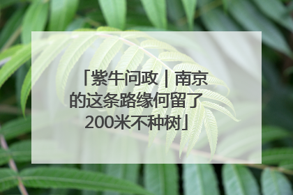 紫牛问政｜南京的这条路缘何留了200米不种树