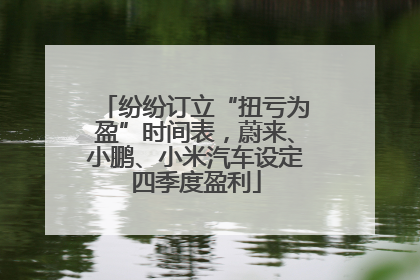 纷纷订立“扭亏为盈”时间表，蔚来、小鹏、小米汽车设定四季度盈利