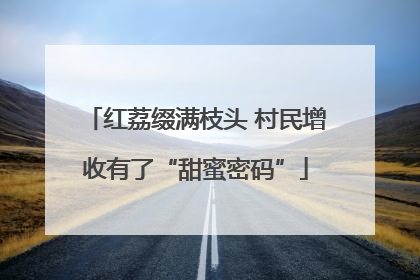 红荔缀满枝头 村民增收有了“甜蜜密码”