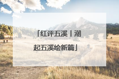 红评五溪丨潮起五溪绘新篇