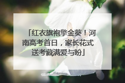 红衣旗袍擎金葵！河南高考首日，家长花式送考藏满爱与盼